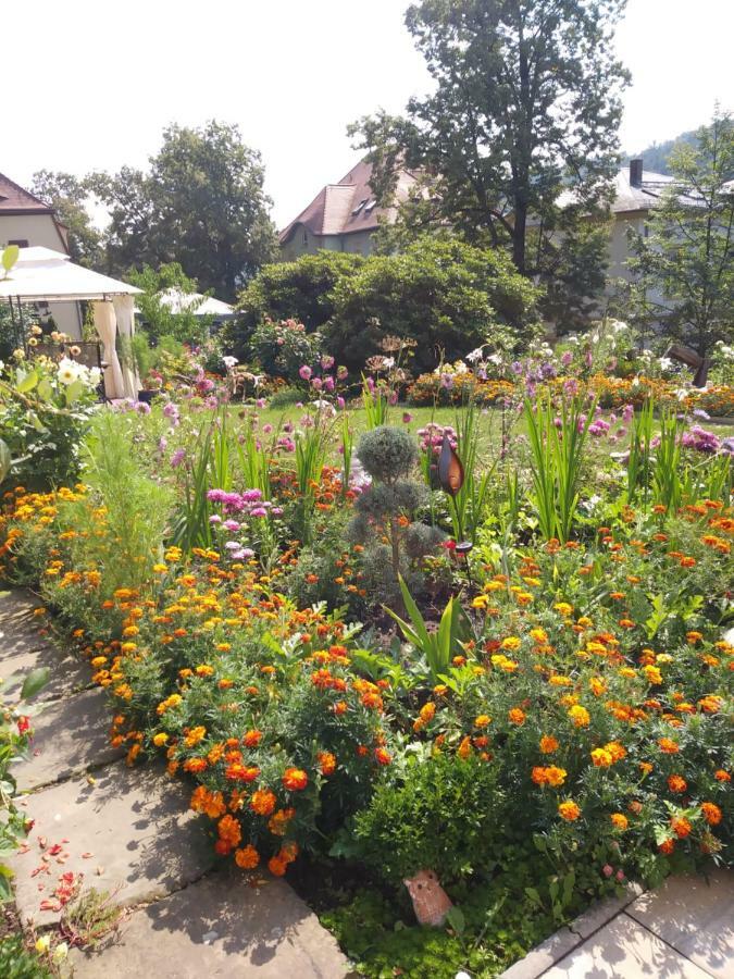 Ferienwohnungen Wilhelm Bad Schandau Esterno foto