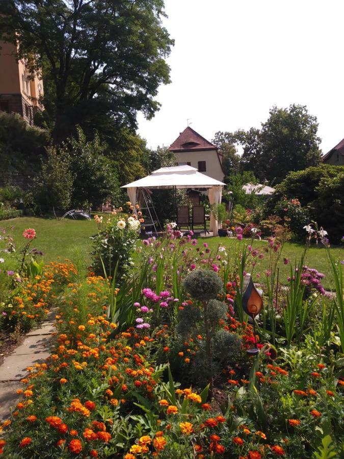 Ferienwohnungen Wilhelm Bad Schandau Esterno foto